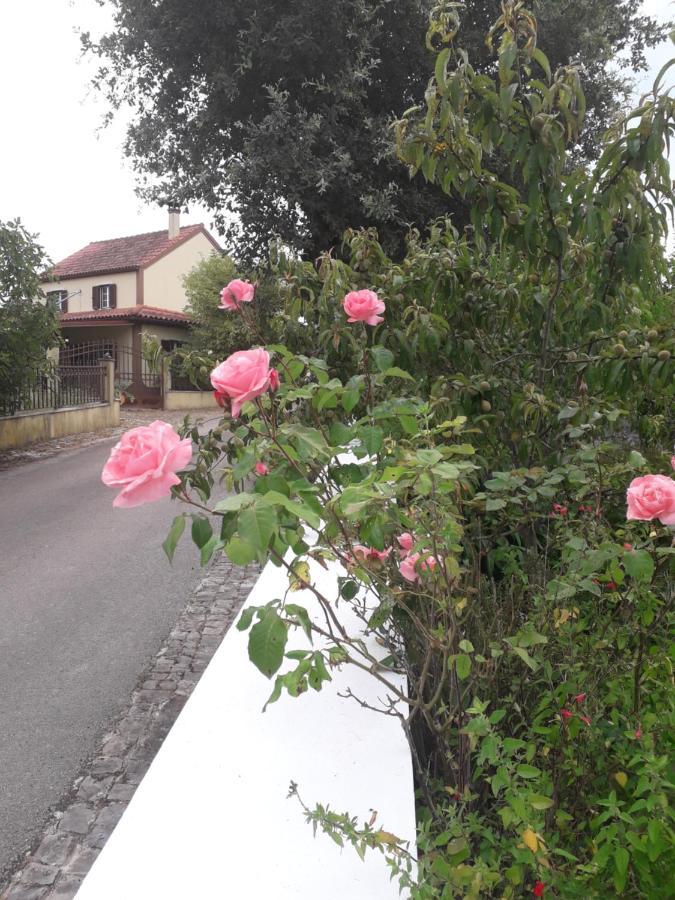 Casa Hozani Villa Albarrol Bagian luar foto